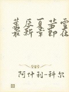 叶辰夏若雪孙怡最新章节在线阅读