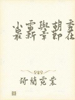 小雷与胡秀英的最新章节在线阅读小说封面