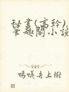 秘书(高干),笔趣阁小说封面