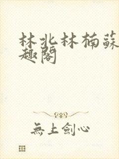 林北林楠苏婉笔趣阁