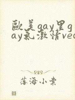 欧美gay里gay气激情vedio