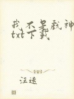我不是戏神小说txt下载