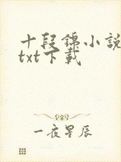 十段锦小说全本txt下载