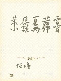 叶辰夏若雪孙怡小说无弹窗封面