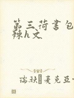 第三荷书包网高辣h文