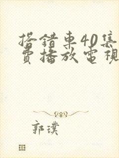 搭错车40集免费播放电视剧封面