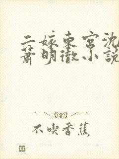 二嫁东宫沈雨燃萧明彻小说免费阅读全文