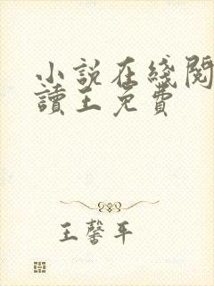 小说在线阅读阅读王免费