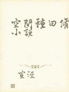 空间种田修仙的小说封面