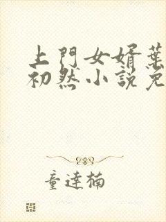 上门女婿叶辰萧初然小说免费读