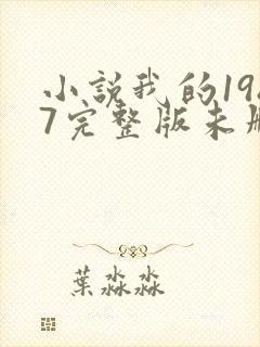 小说我的1987完整版未删减小说