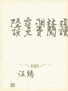 陆霆渊林砚秋小说免费阅读最新章节列表