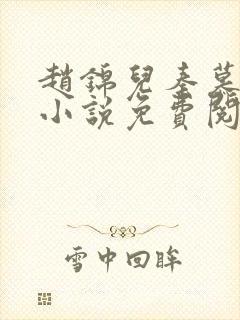 赵锦儿秦慕修的小说免费阅读全文