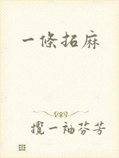 一条拓麻