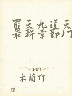 罗天九道天书(最新章节)下载