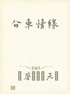 公车情缘
