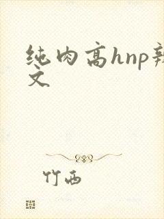 纯肉高hnp辣文