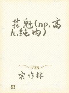 花魁(np,高h,纯肉)