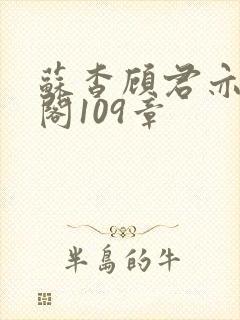 苏杳顾君亦笔趣阁109章