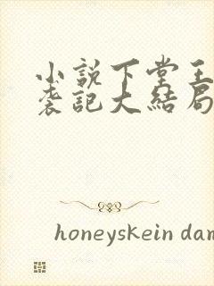 小说下堂王妃逆袭记大结局