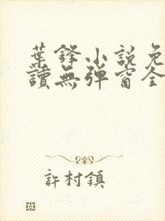 叶锋小说免费阅读无弹窗全文