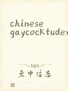 chinesegaycocktudexxx