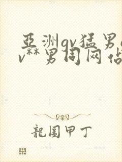 亚洲gv猛男gv**男同网站