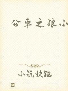 公车之狼小说