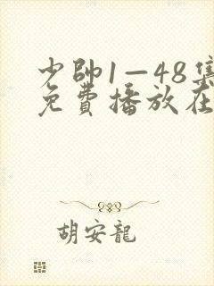 少帅1—48集免费播放在线观看