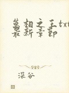 万相之王txt最新章节