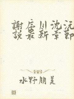 谢序川沈沅珠小说最新章节免费阅读