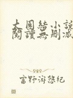 大团结小说在线阅读无删减