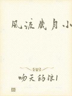 风流岁月小说封面