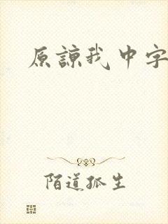 原谅我中字