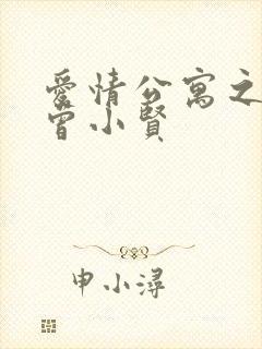 爱情公寓之极品曾小贤