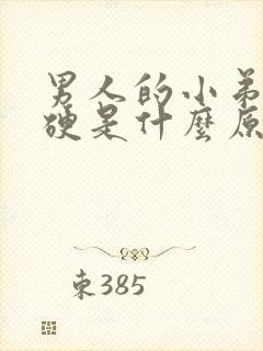 男人的小弟弟不硬是什么原因