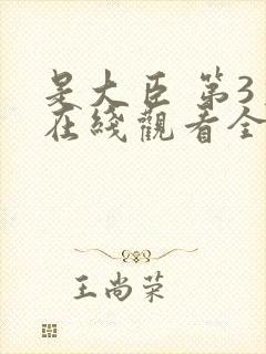 是大臣 第3季在线观看全集免费播放