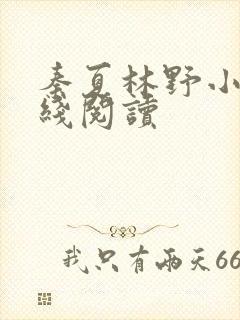 秦夏林野小说在线阅读