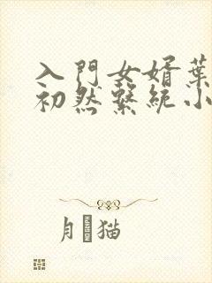 入门女婿叶辰萧初然系统小说