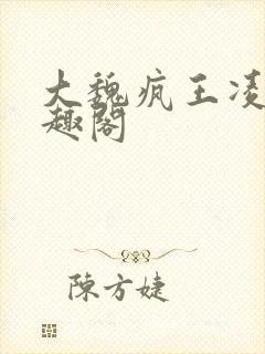 大魏疯王凌宁笔趣阁