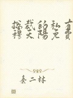 总裁的私有宝贝穆天阳免费