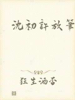 沈初许放笔趣阁