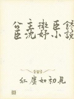 公主微臣馋了微臣沈妤小说封面