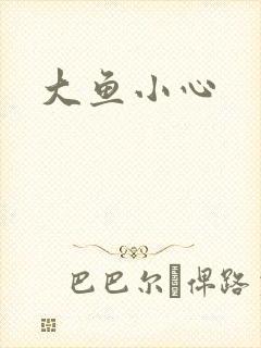 大鱼小心封面