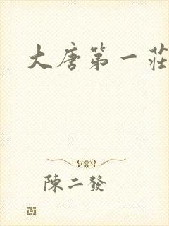 大唐第一庄封面