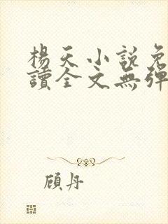 杨天小说免费阅读全文无弹窗