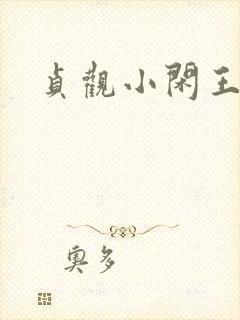 贞观小闲王小说