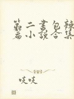 第二书包辣网短篇小说合集