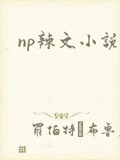 np辣文小说封面
