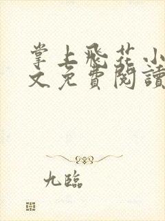 掌上飞花小说全文免费阅读笔趣阁